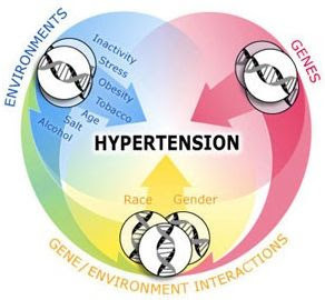 Maksud hypertension